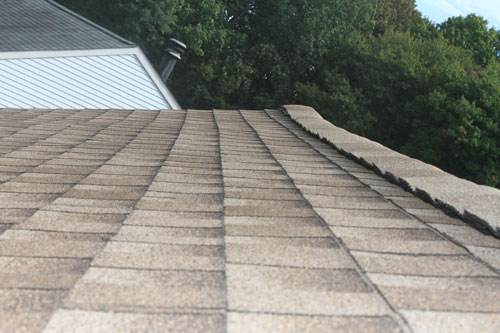 Looking across a newly installed roof from roof level with green trees in the background