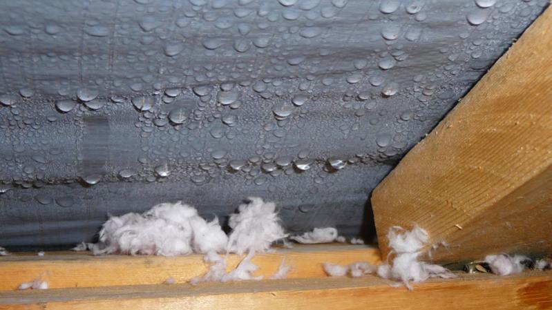 Water droplets on under side of roof in attic