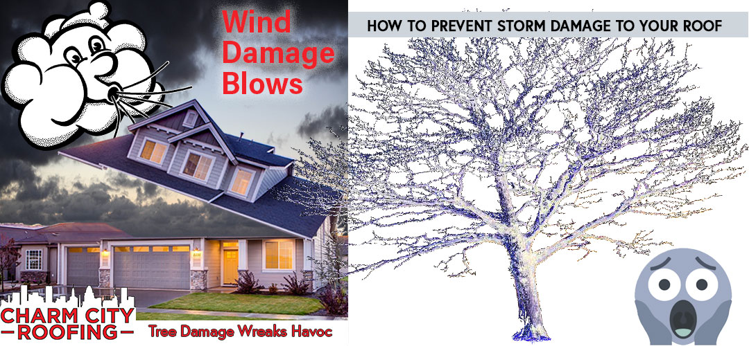 Storm Damage To Your Roof And How To Prevent It