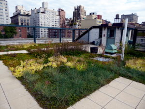 A photo of a green roof garden on a residential building flat roof