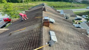 Shingle roof with stains and streaks from water damage