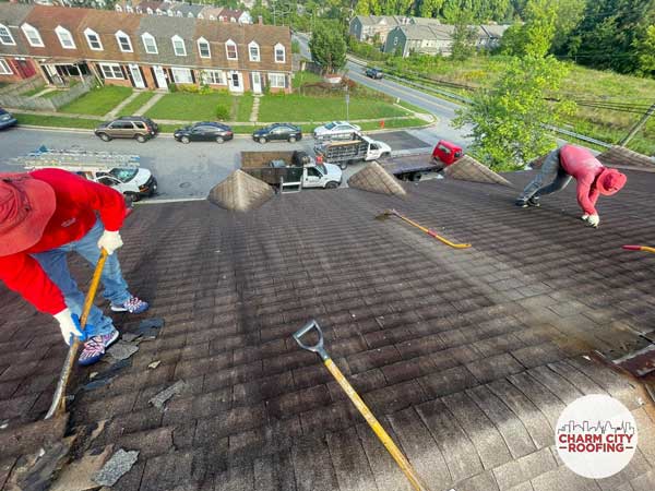 Roof Algae Damage on Shingle Roof