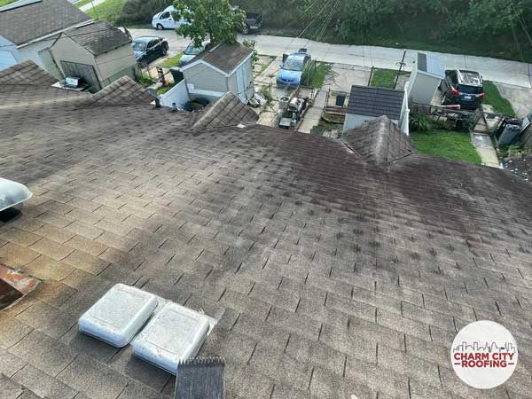 Old Shingles With Algae