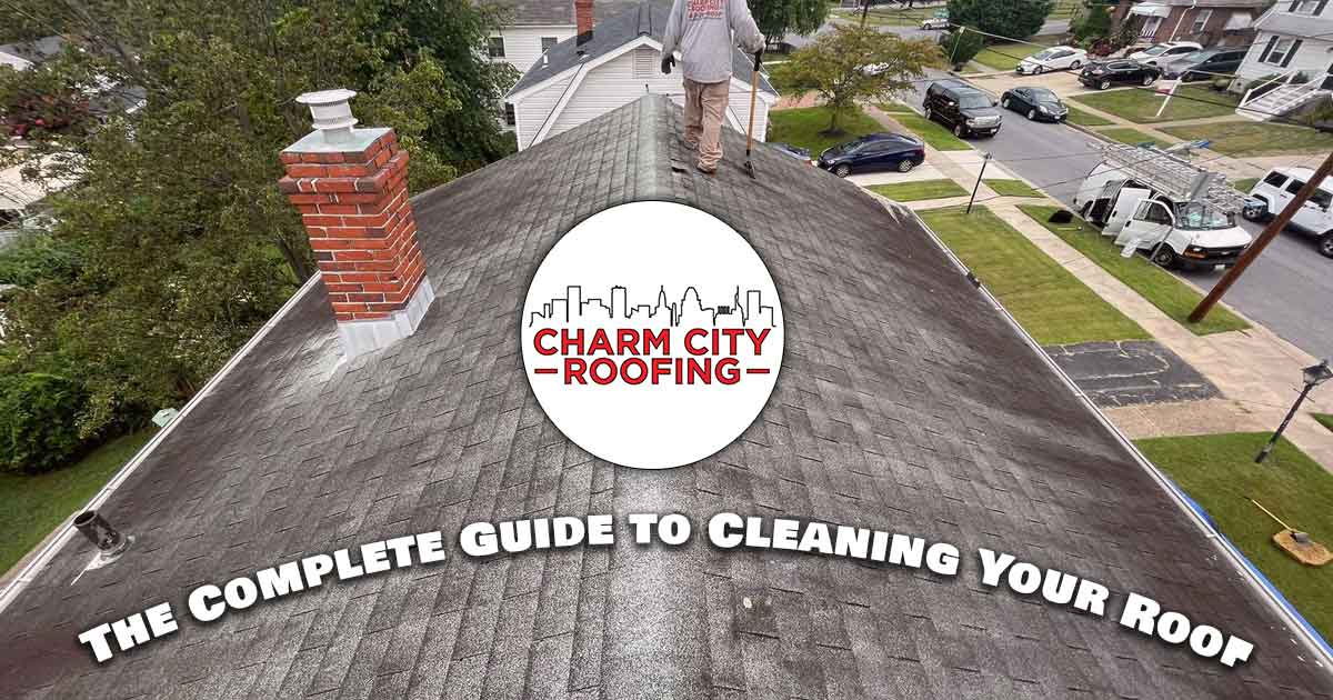 Roof Cleaning—Blog Post Featured Image